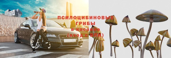 тгк Шадринск