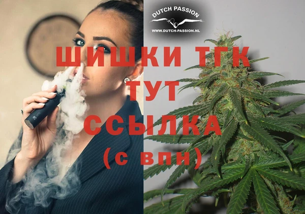 сатива Вязники