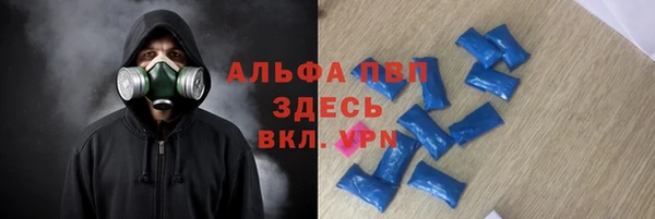 мяу мяу мука Шали