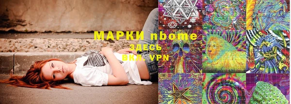 сатива Вязники