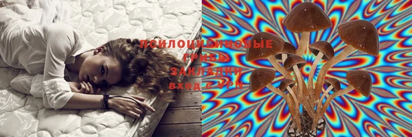тгк Шадринск