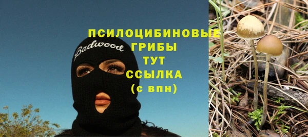 эйфоретик Чердынь