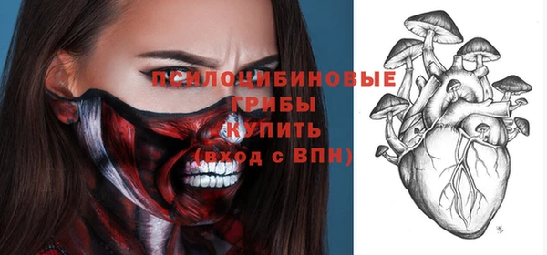 тгк Шадринск