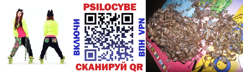 Купить закладки  Пудож  Галлюциногенные грибы Cubensis 