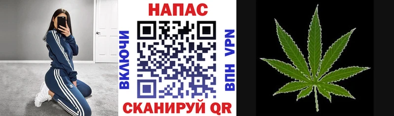 Купить где  Пудож  Шишки марихуана White Widow 